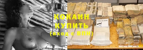 шишки Армянск