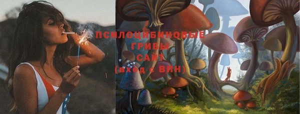 мяу мяу мука Арсеньев
