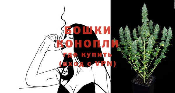 spice Аркадак