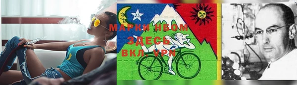 шишки Армянск