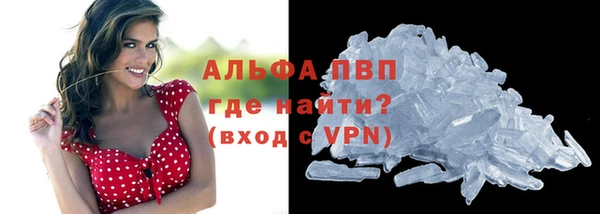 шишки Армянск