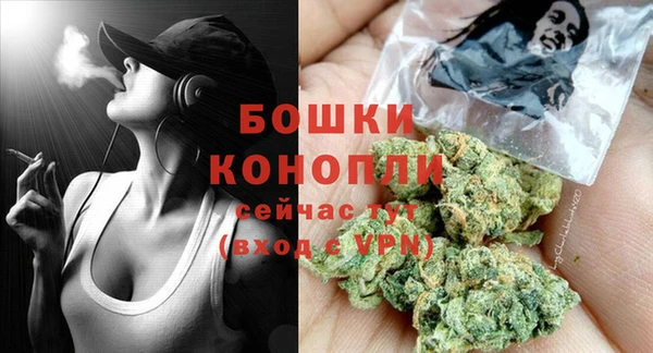 spice Аркадак
