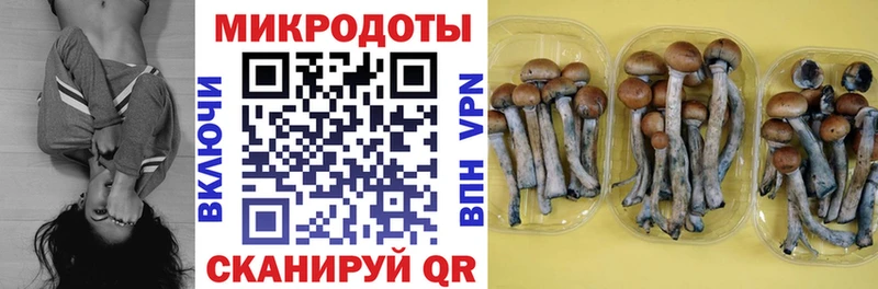 Псилоцибиновые грибы Cubensis  Николаевск-на-Амуре 